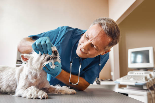 Best Emergency Root Canal Treatment in Leland, MS
